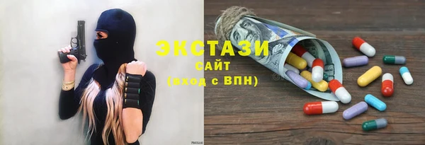 стаф Вязьма