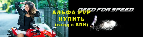 стаф Вязьма