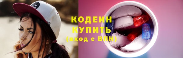 стаф Вязьма