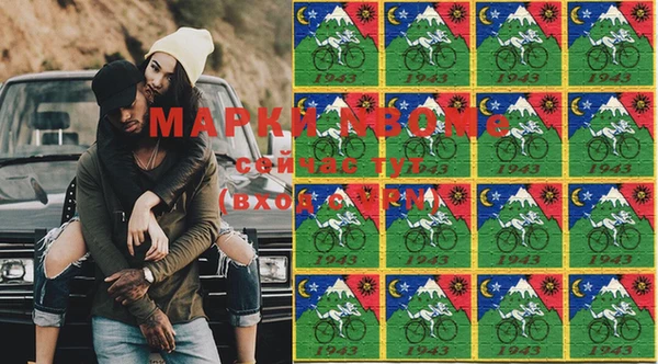стаф Вязьма