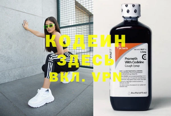 стаф Вязьма