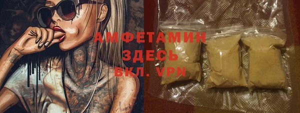 стаф Вязьма