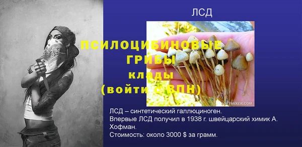стаф Вязьма