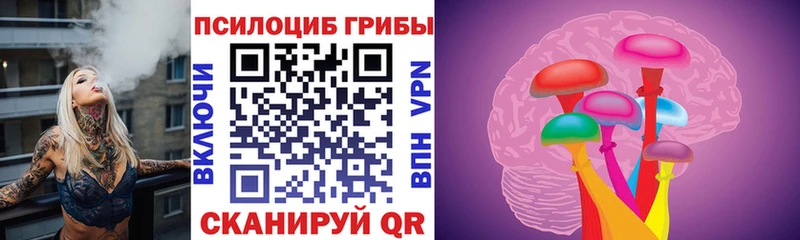 Купить закладки  Москва  Галлюциногенные грибы прущие грибы 