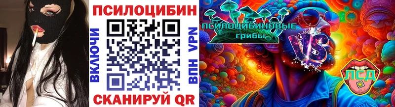 Галлюциногенные грибы Psilocybe Москва
