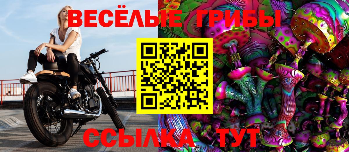 Псилоцибиновые грибы Cubensis  Галлюциногенные грибы Psilocybe  Россия 