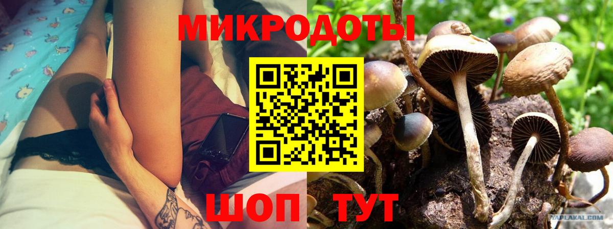 как найти наркотики  Галлюциногенные грибы мицелий  Вход с VPN  Россия 