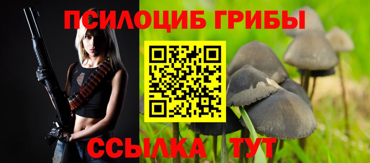Галлюциногенные грибы прущие грибы Россия